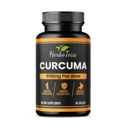 Curcuma 600 mg – HerboTeca
